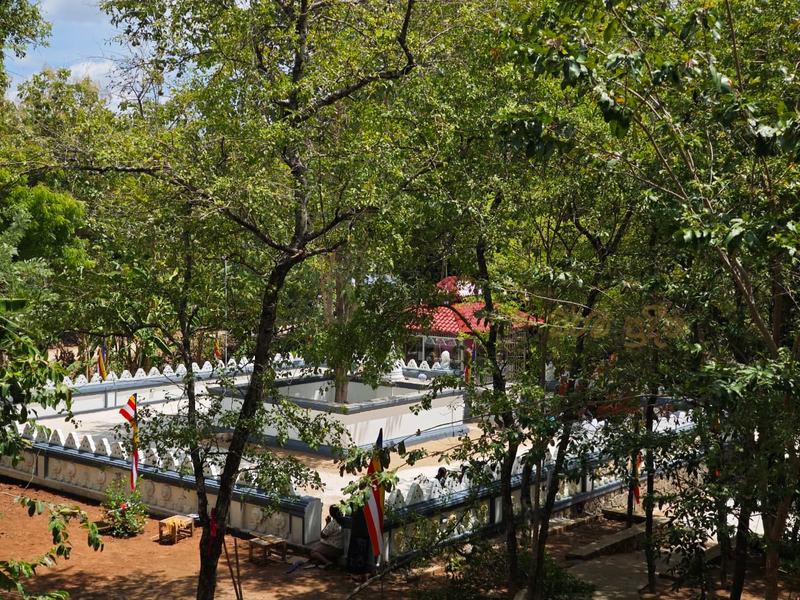 Sacred Bodhi tree terrace seen through the forest